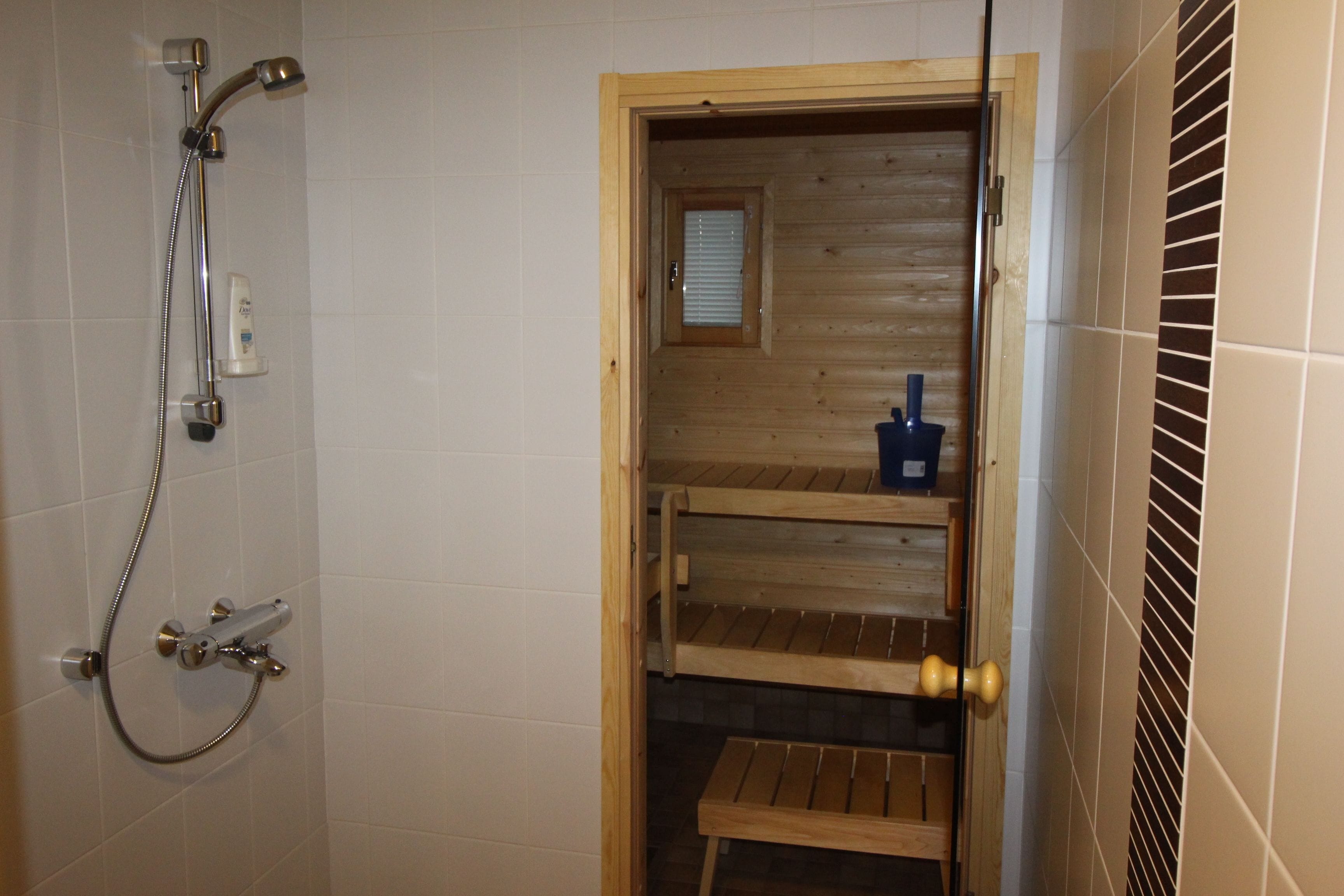 Deluxe Apartment, 1 Bedroom, Sauna | Bathroom | Shower, free toiletries, towels