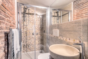 Shower, hair dryer, towels