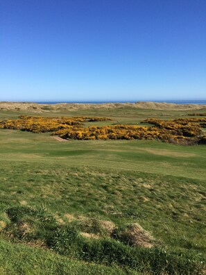 Vistas desde el alojamiento