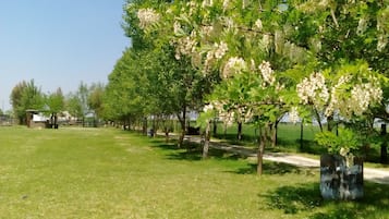 Jardín