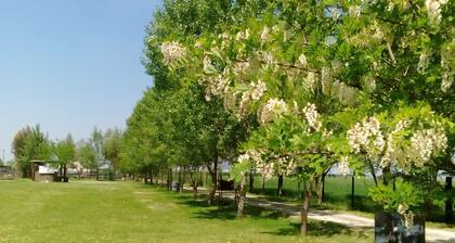 L'Antico Casale dei Sogni