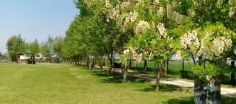 L'Antico Casale dei Sogni