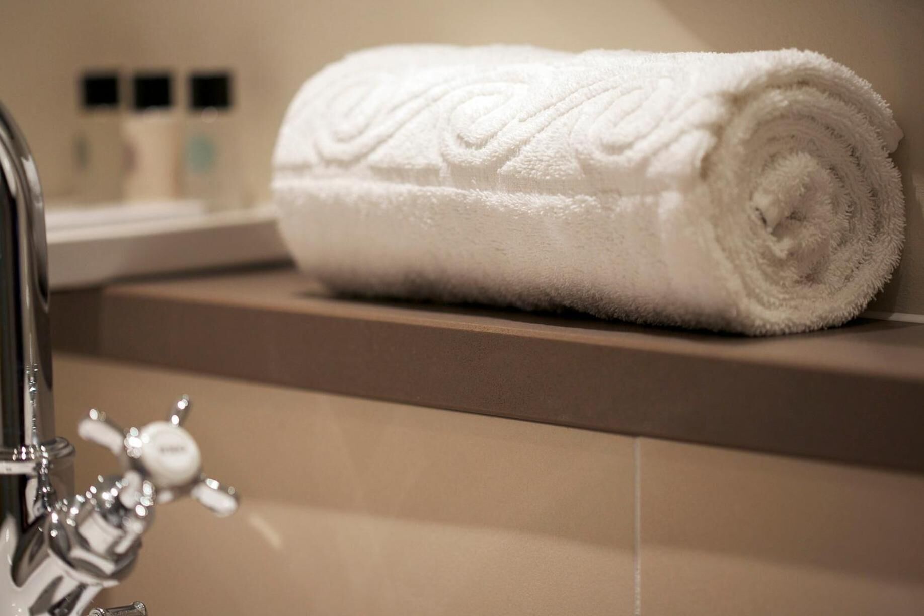 combined shower/bathtub, free toiletries, hair dryer, towels