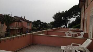 Una terrazza sul tetto con una bassa muraglia, una palma e un edificio sullo sfondo.