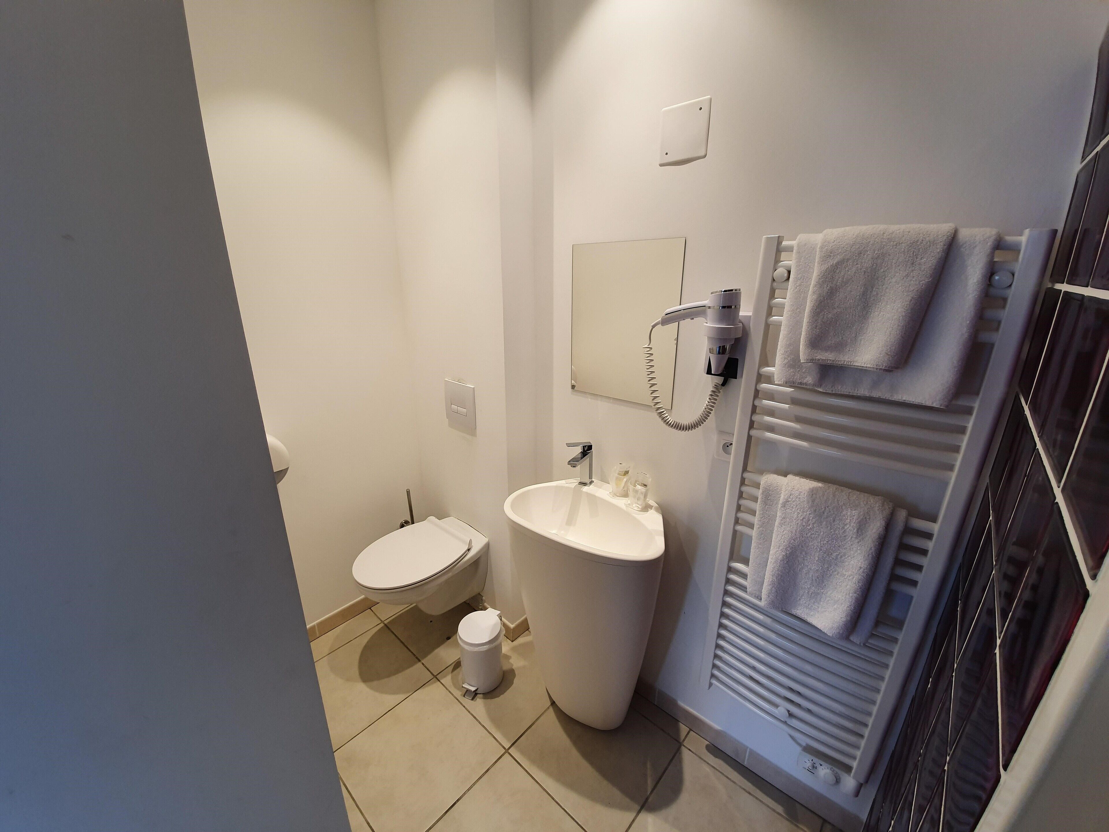 Een kleine badkamer met toilet, wastafel en handdoekhouder.