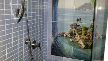 Duplex, 1 Bedroom | Bathroom shower