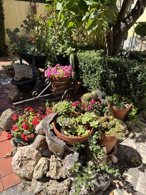 Terrein van de accommodatie