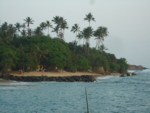 A beach with palm trees, a rocky shoreline, and calm sea.