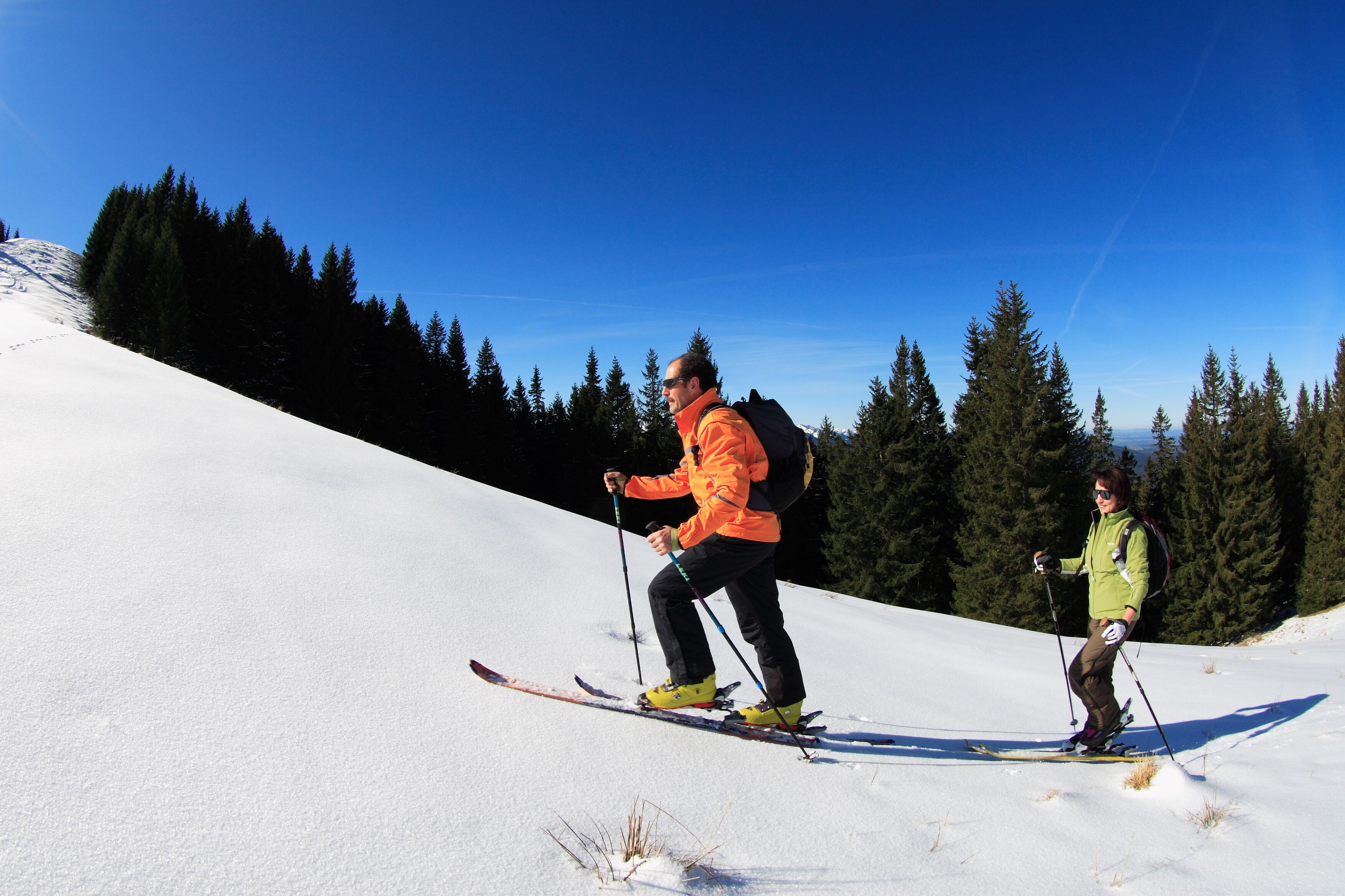 Two people skiing on a snowy slope with a clear blue sky and evergreen trees in the background.