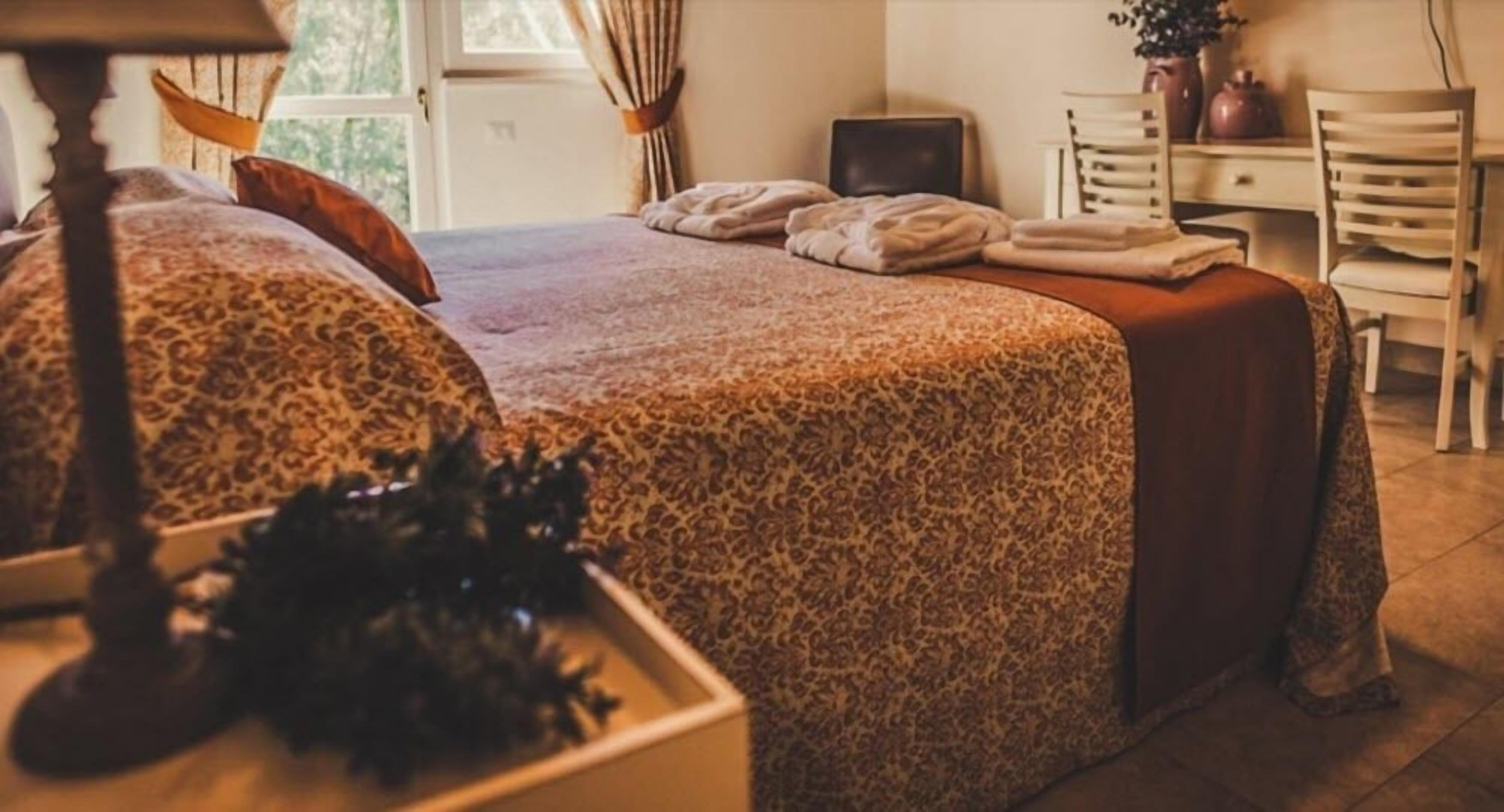 A bedroom with a leopard print bedspread, a bedside table with a lamp, and a chair with a plant.