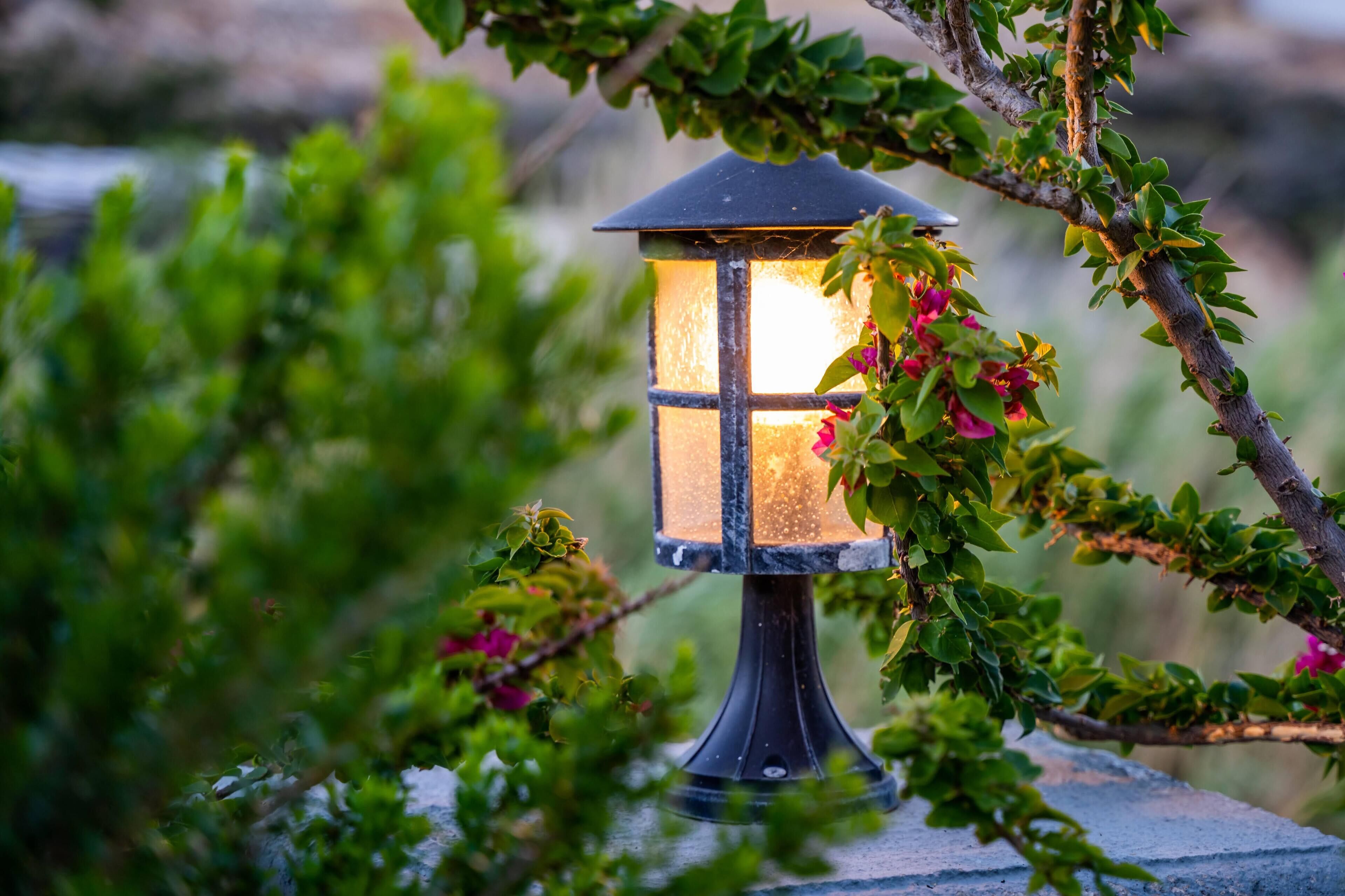 A lantern-style outdoor light fixture surrounded by foliage.
