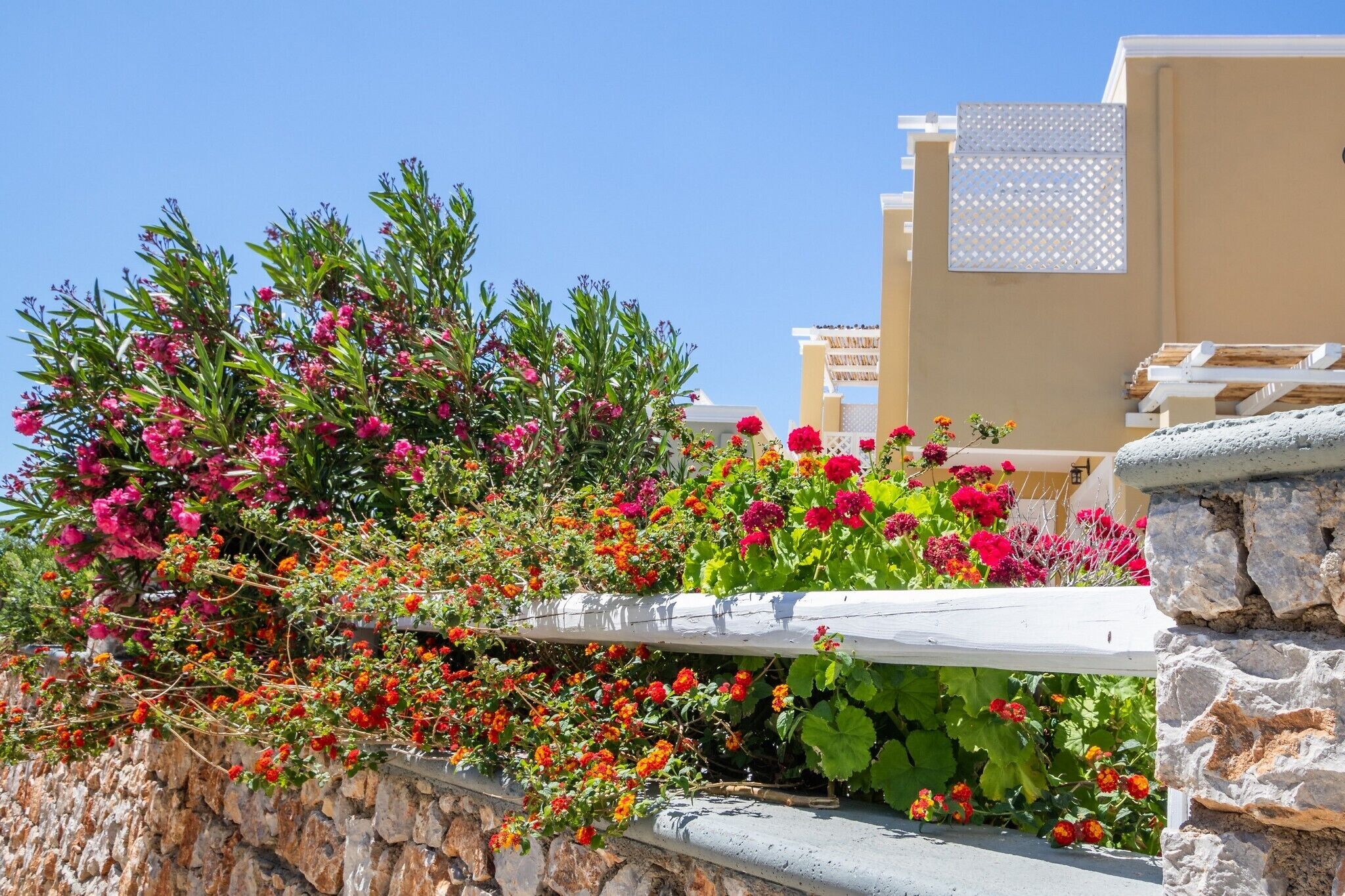Un muro de piedra adornado con diversas plantas en flor y una pérgola blanca.