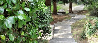 Typical, Romantic, Organic Tessiner Cottage with Pool for your Family & Dogs