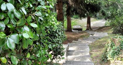 Typisches, romantisches, biologisches Tessiner Cottage mit Pool für Ihre Familie & Hunde