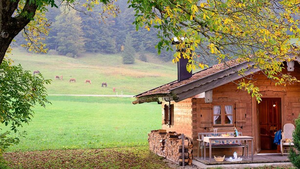 Een houten vakantiehuis met een veranda, een tafel met stoelen en uitzicht op een groen veld met koeien op de achtergrond.