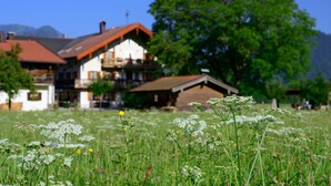 Landelijk tafereel met een traditioneel huis, voorzien van een schuin dak en een balkon, omringd door een veld met bloemen en een grote boom.