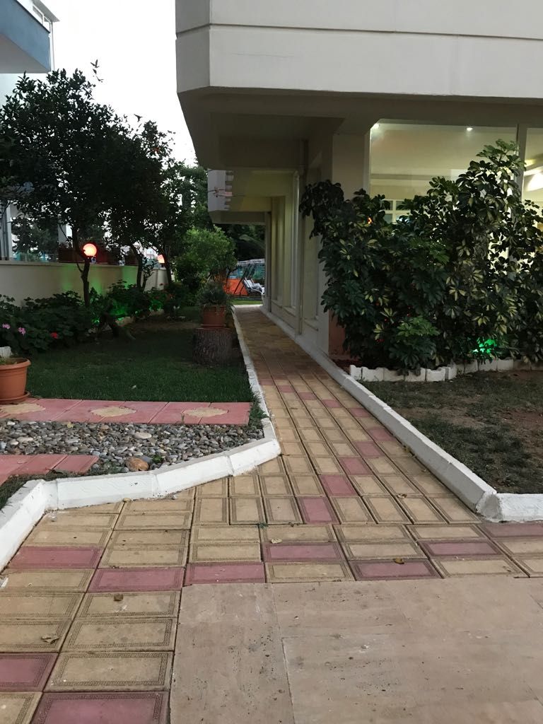 A paved walkway with potted plants and a building in the background.