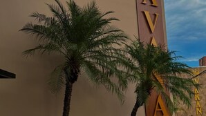 Een hotelsbord met de naam 'SAVA' en palmbomen ervoor.