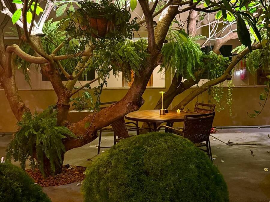 Un jardín interior con una mesa y sillas de madera redondas, rodeado de diversas plantas y árboles.