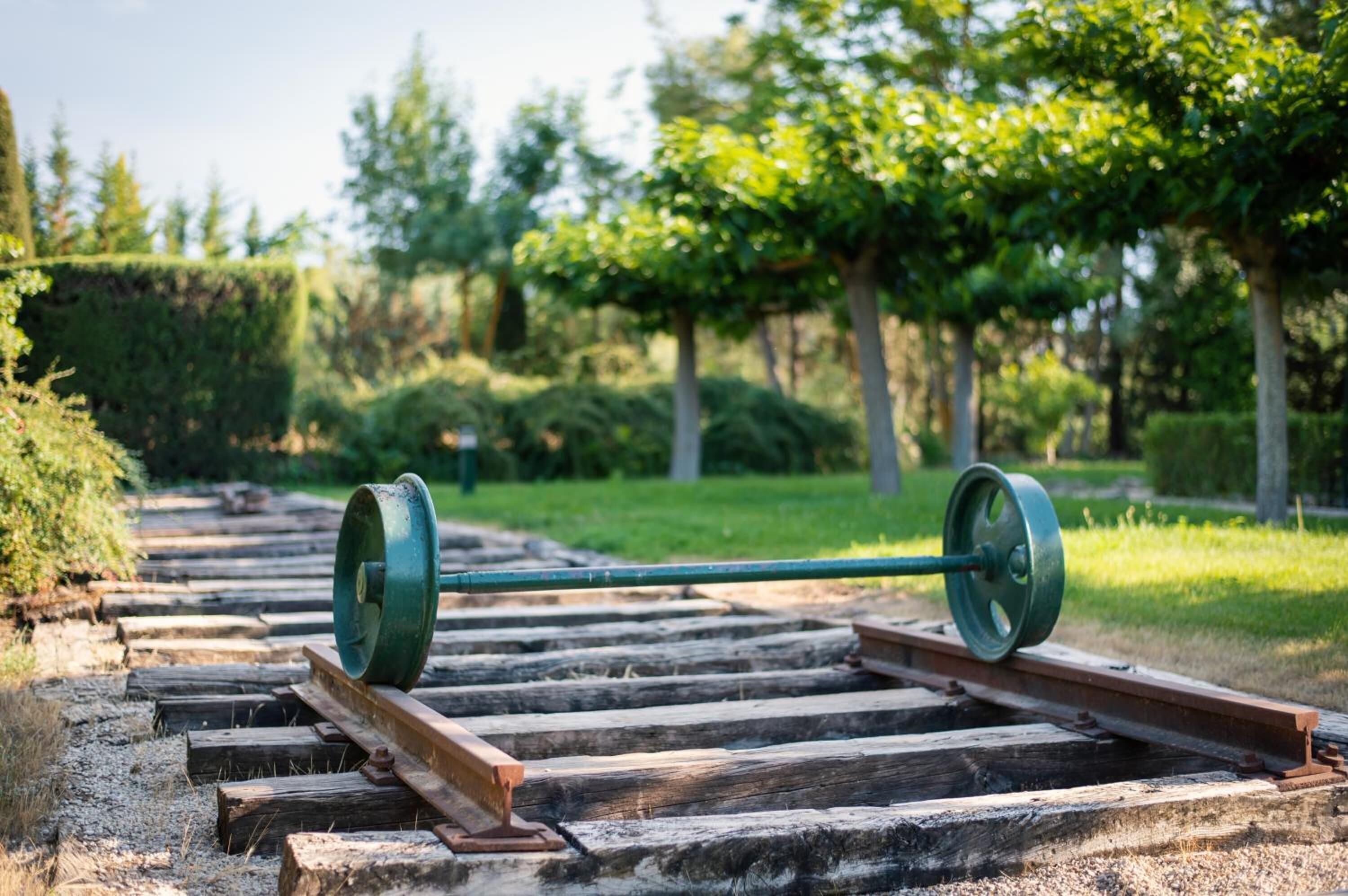 Un sendero de madera con una estructura metálica verde, rodeado de follaje y árboles.
