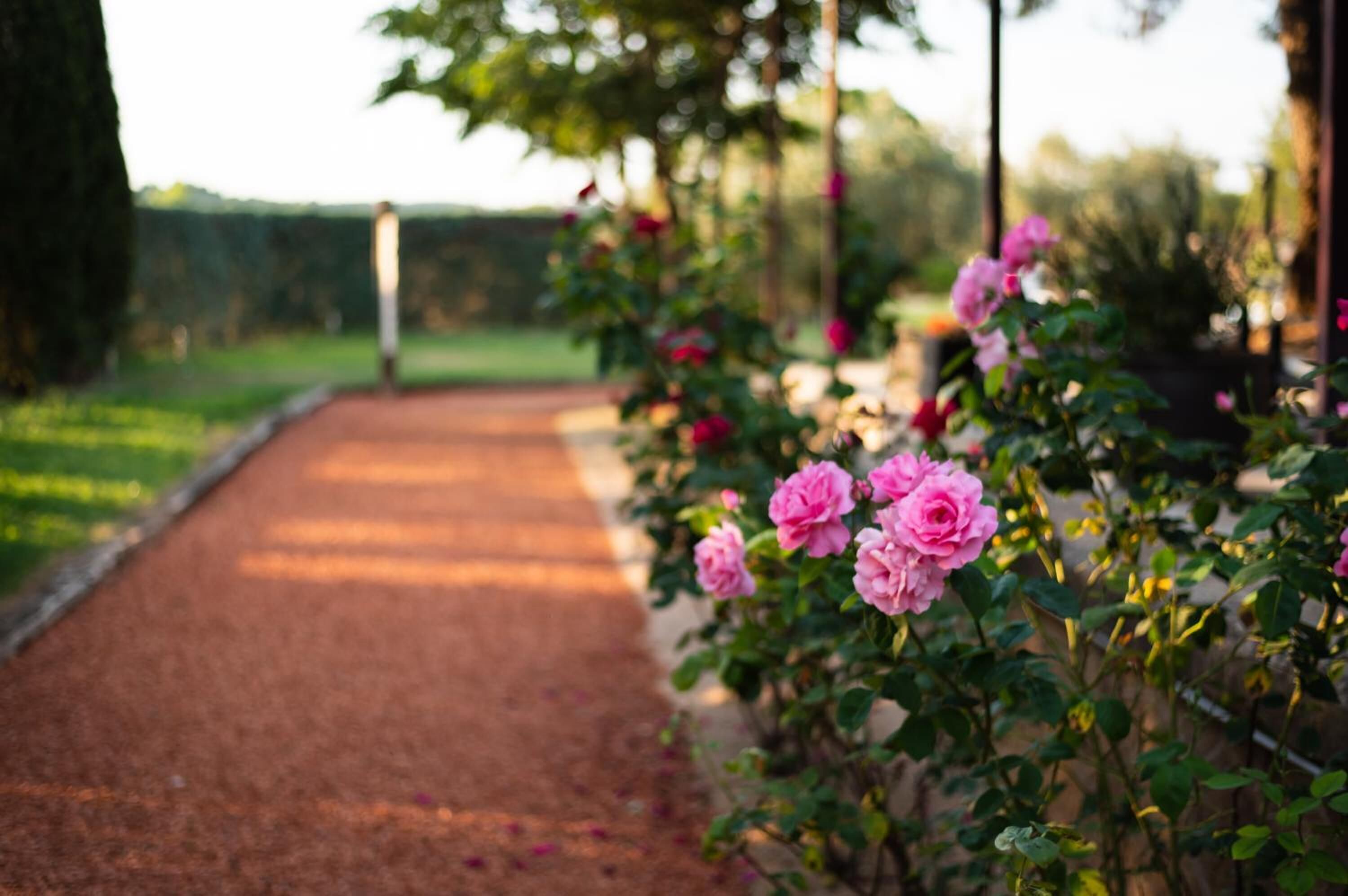 A garden pathway with a gravel surface leading to a structure.