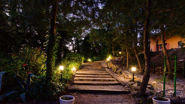 Ein steiniger Weg führt durch einen Garten im Abenddämmerung, gesäumt von Bäumen und beleuchtet durch Straßenlaternen.