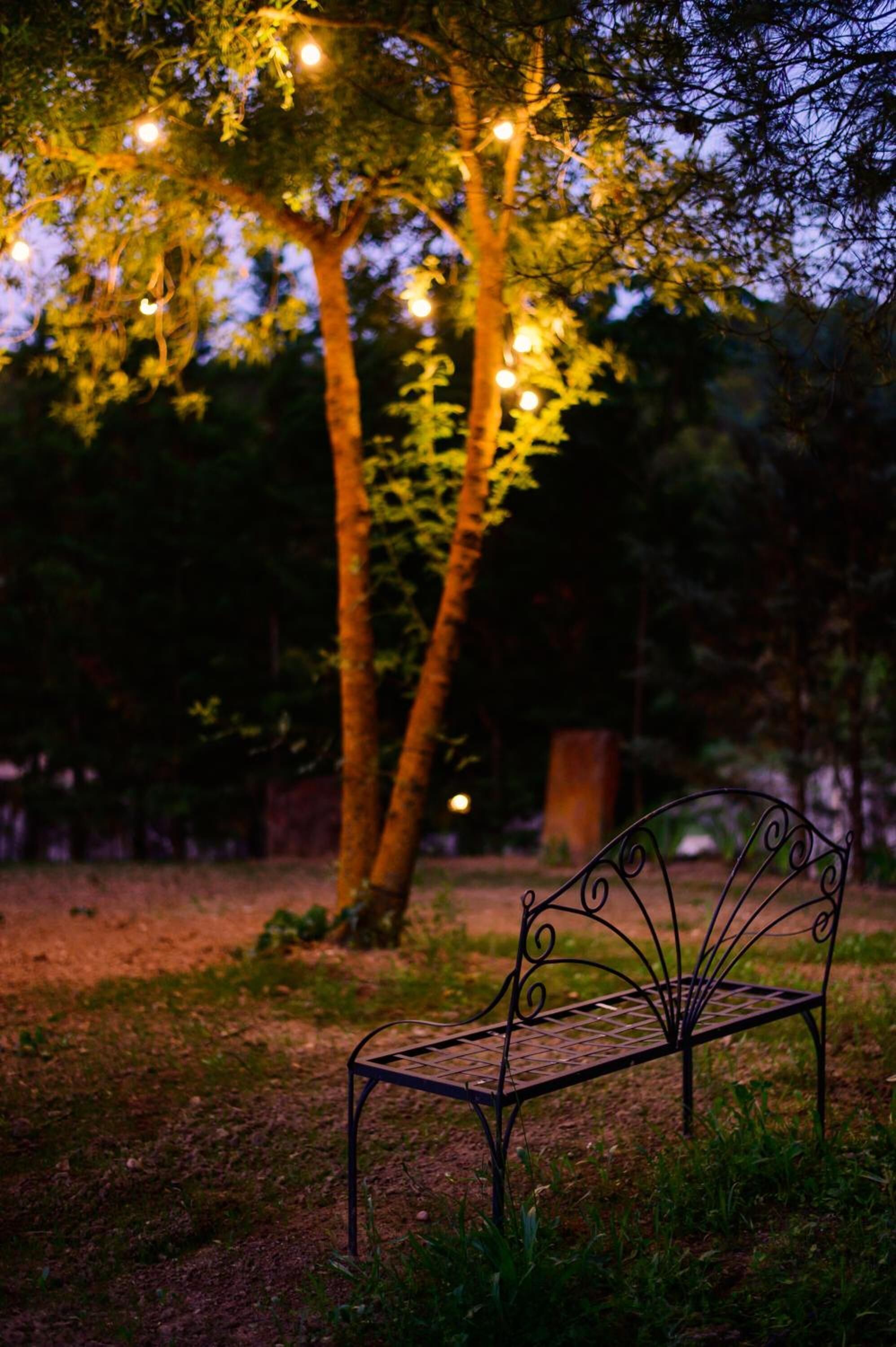 Un banco en un parque al anochecer con luces colgantes en un árbol.