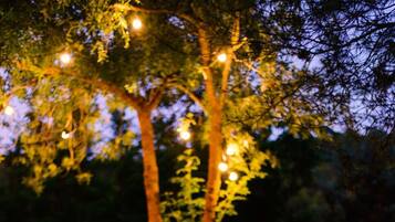 Un banco en un parque al anochecer con luces colgantes en un árbol.