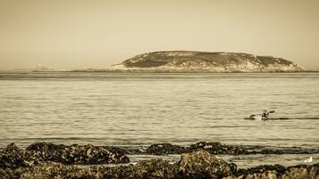 A calm sea with a kayaker in the foreground and a rocky coastline in the background.
