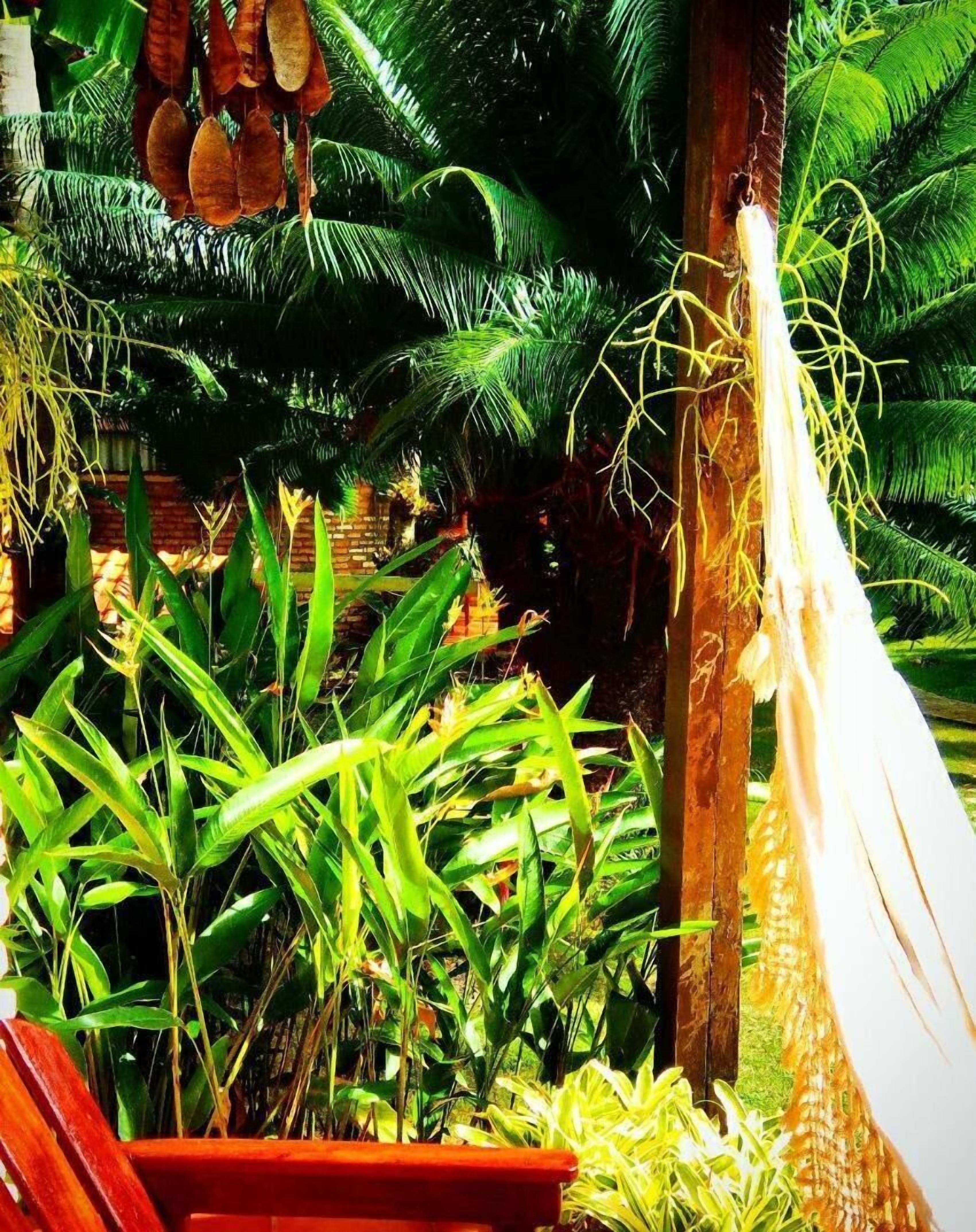 Una hamaca colgada entre dos árboles en un jardín exuberante con diversas plantas tropicales.