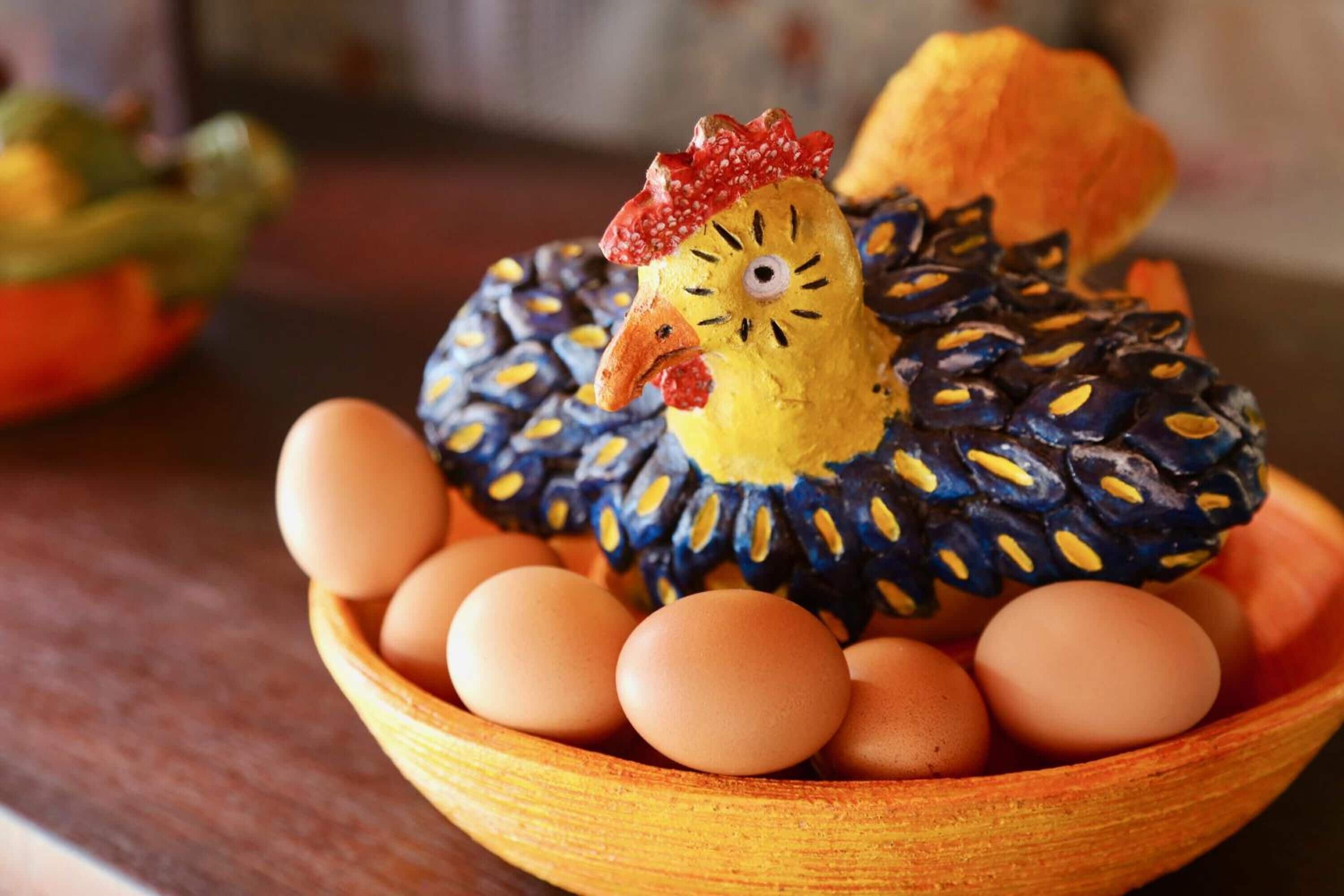 Foto - Pousada Oasis