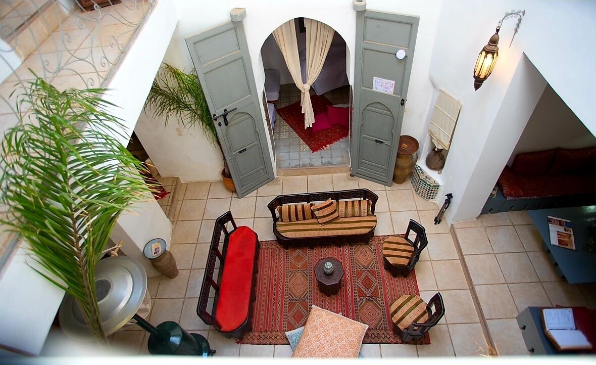 Un interior acogedor con un conjunto de sofás, una mesa de comedor y una planta grande en maceta.