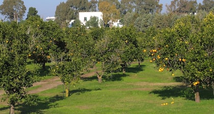 Golf Club Metaponto