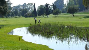 Een golfbaan met een vijver, bomen en een persoon met een golftas.