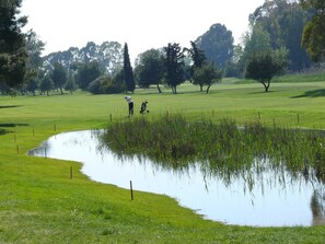 Golf