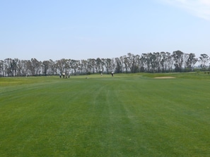 En golfbana med klar himmel, en välskött gräsmatta och en rad träd i bakgrunden.