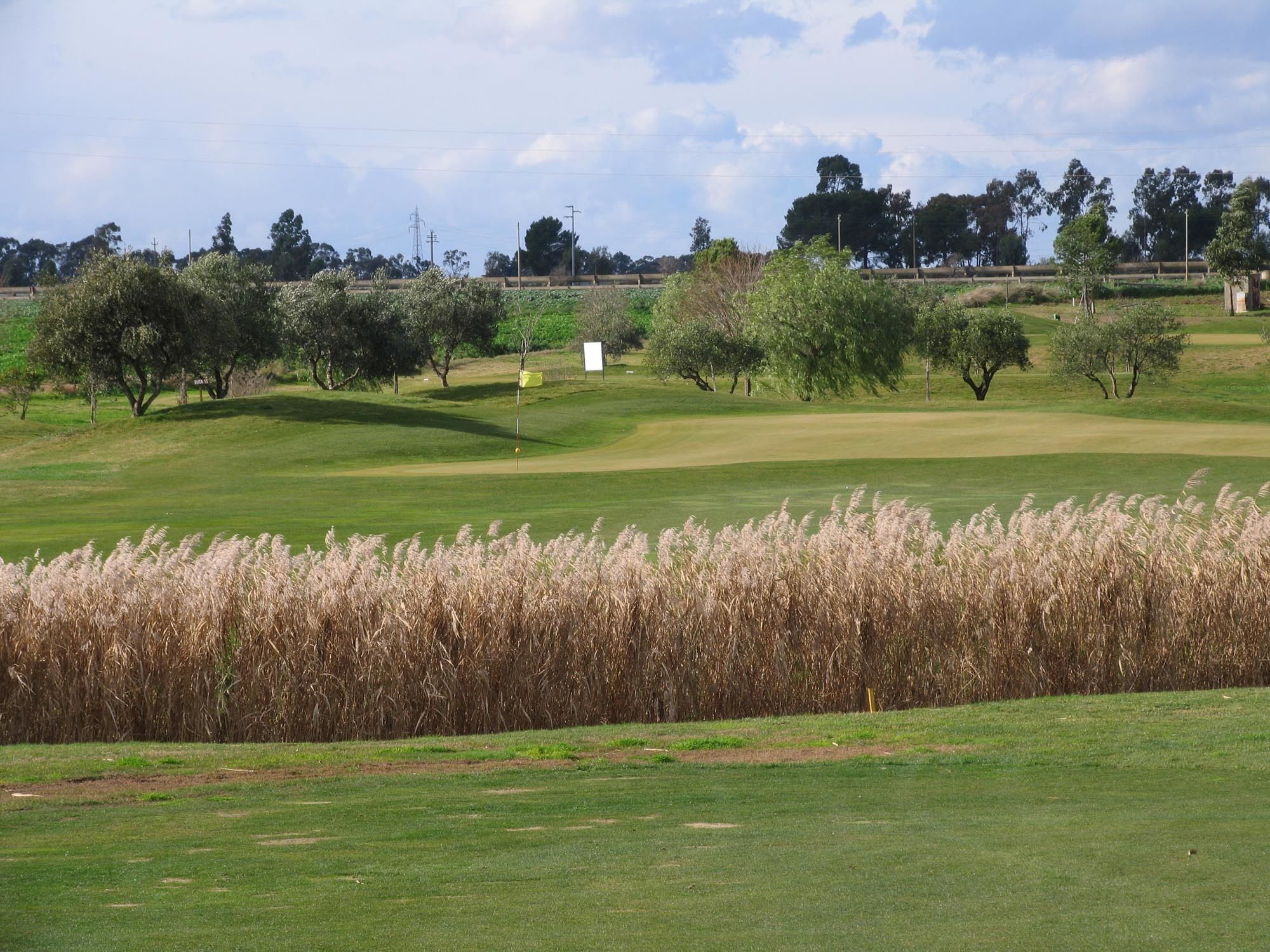 Un terrain de golf avec un drapeau, des arbres et un ciel dégagé.