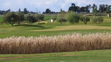 Un terrain de golf avec un drapeau, des arbres et un ciel dégagé.