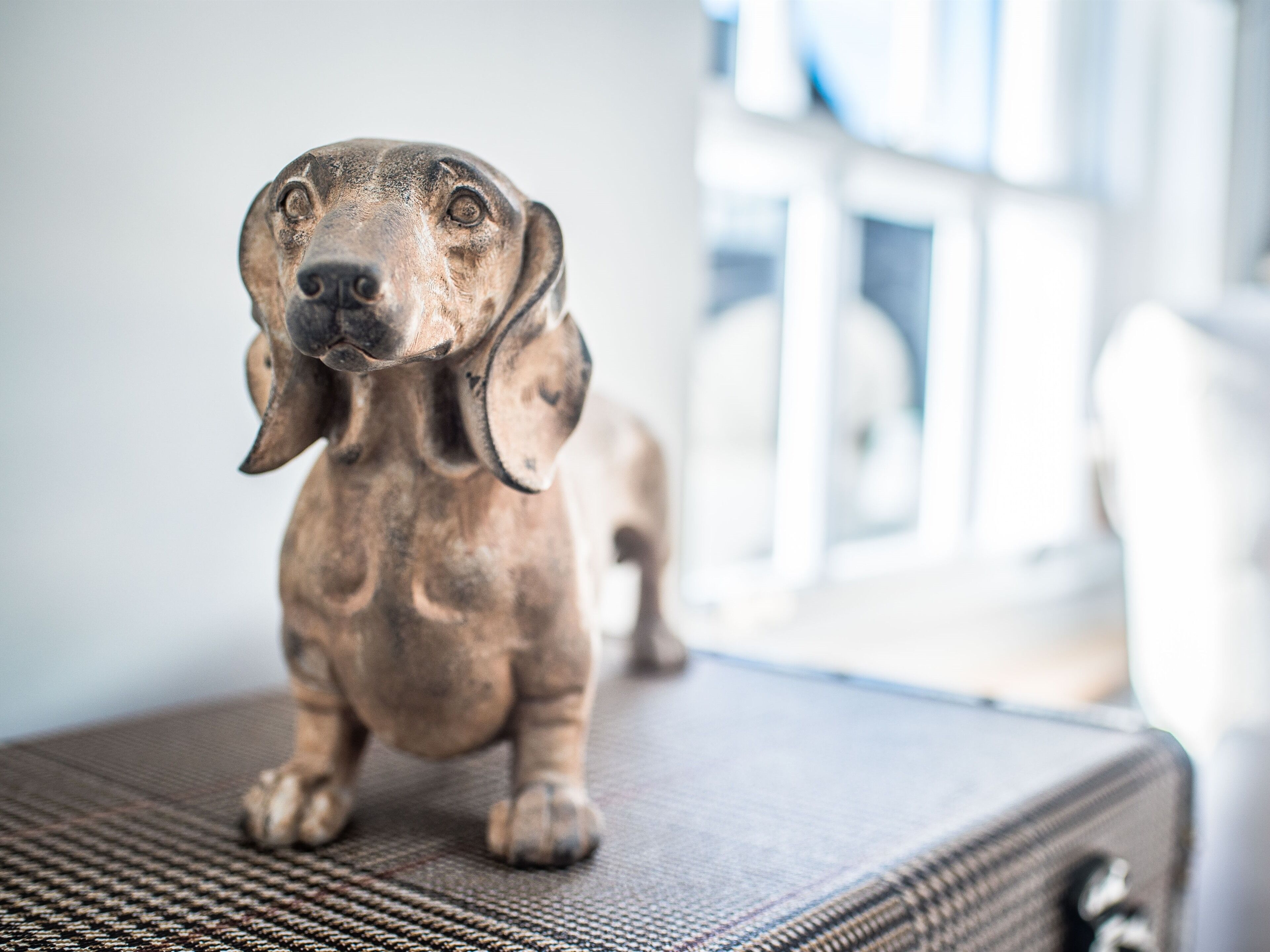 Foto - The Royal Standard