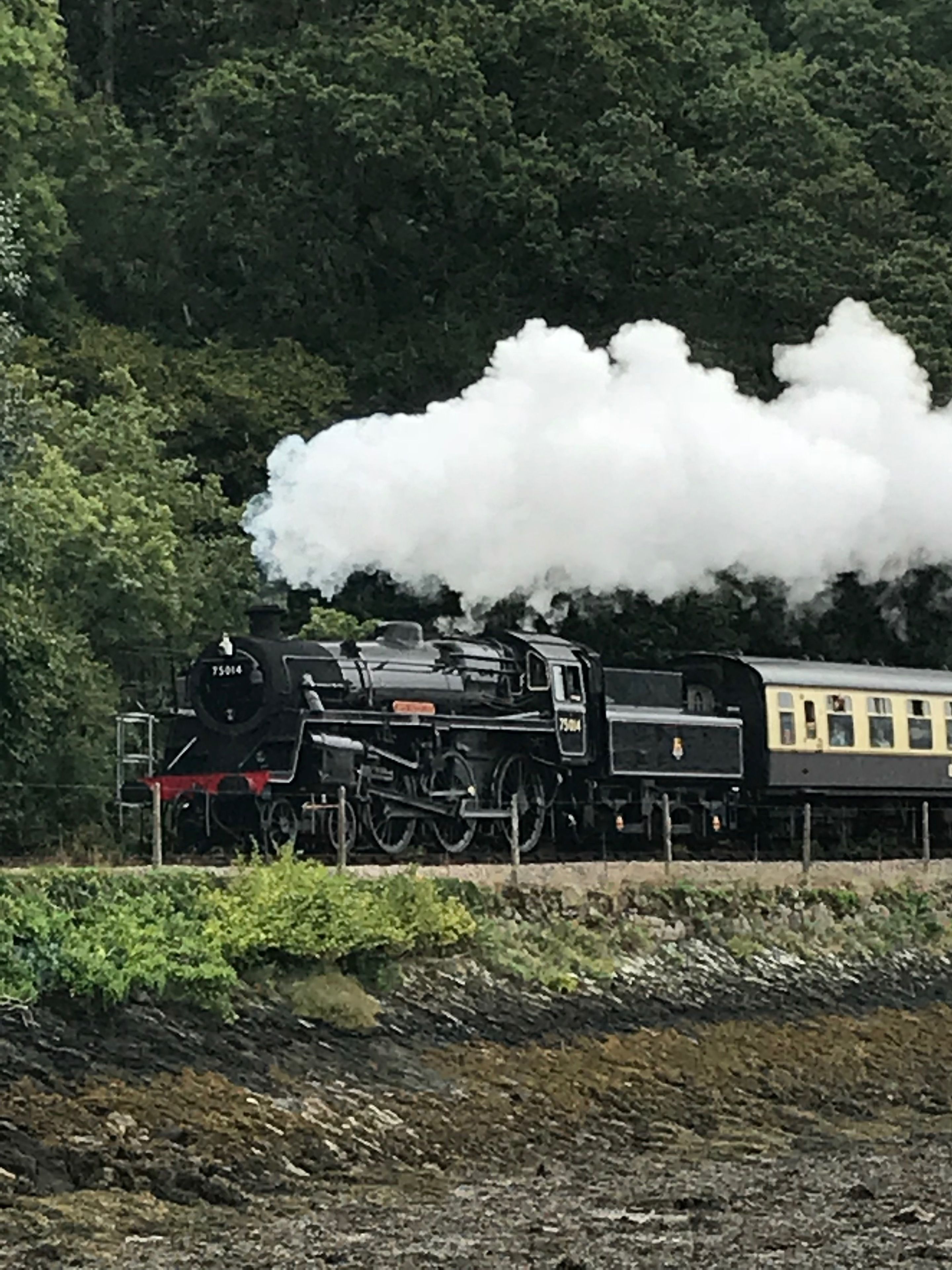 A steam locomotive with a passenger car, emitting white smoke, on a track surrounded by greenery.