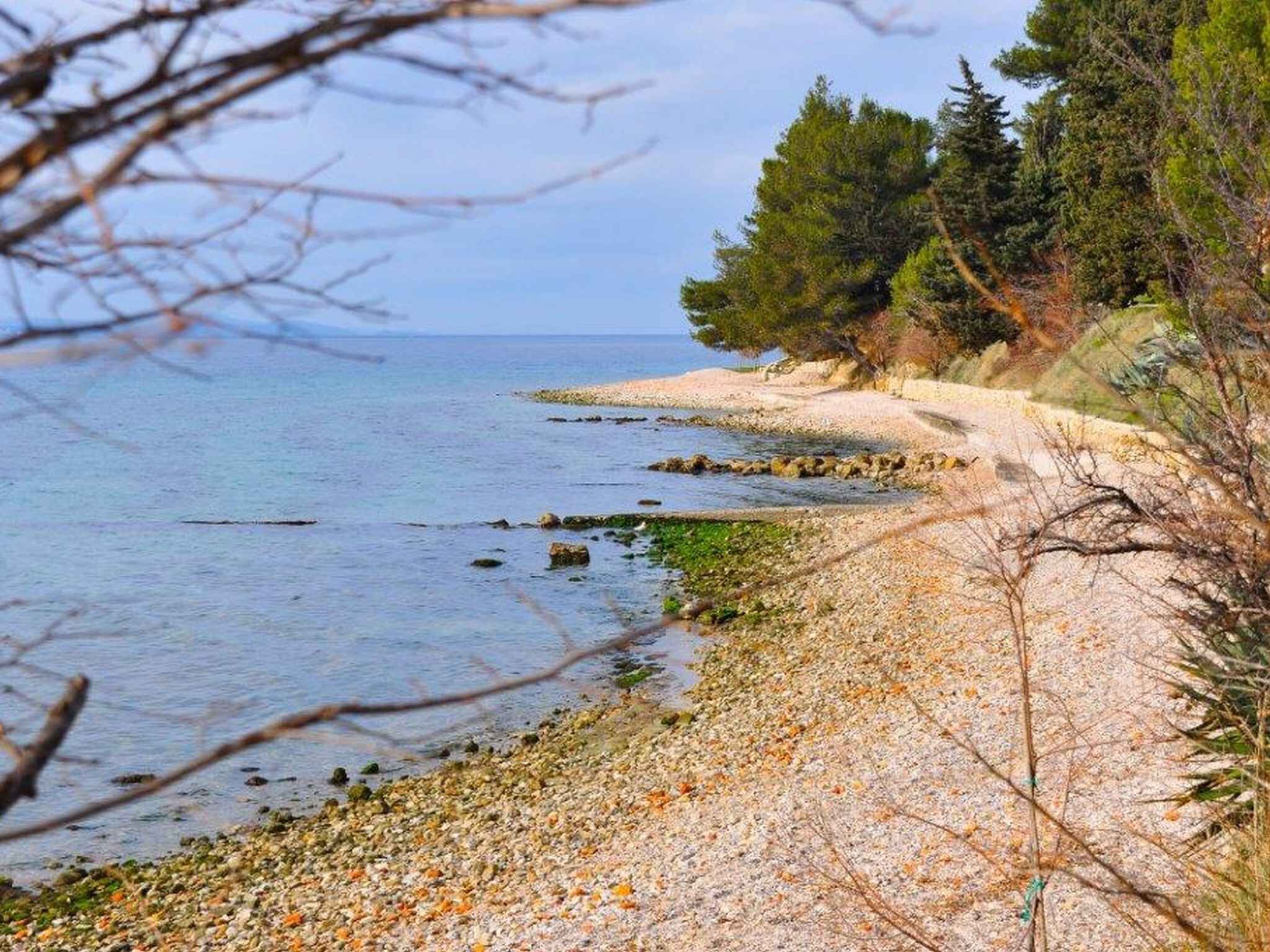 بالقرب من الشاطئ