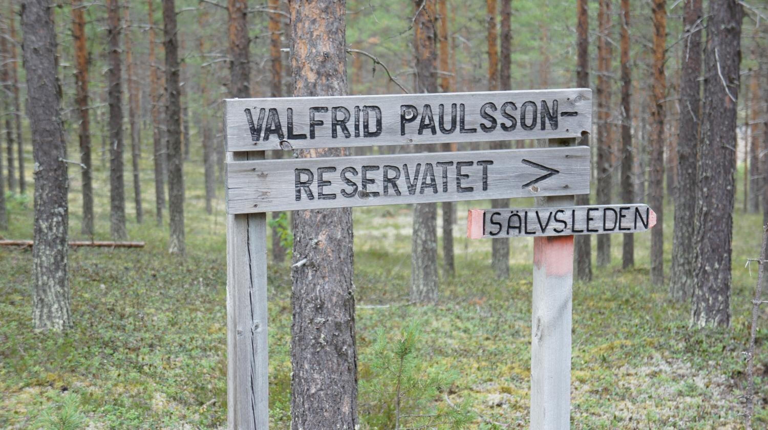 Un cartello in legno con indicazioni per la riserva naturale Valfrid Paulsson e il sentiero Isalsleden.