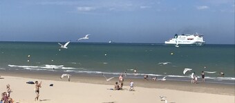 ブレリオ-プラージュ:海から300 mの快適な別荘