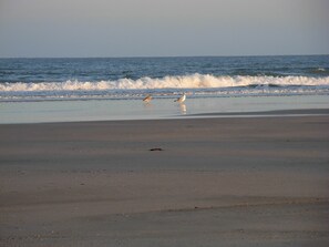 Plage à proximité