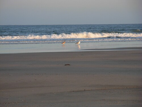 Quiet lodge for a couple at 200 from the beach, 900 m from the city center