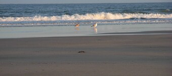 Quiet lodge for a couple at 200 from the beach, 900 m from the city center