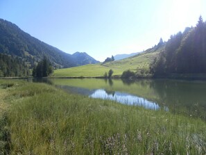 Botón de imagen sin clasificar, 3 de 52