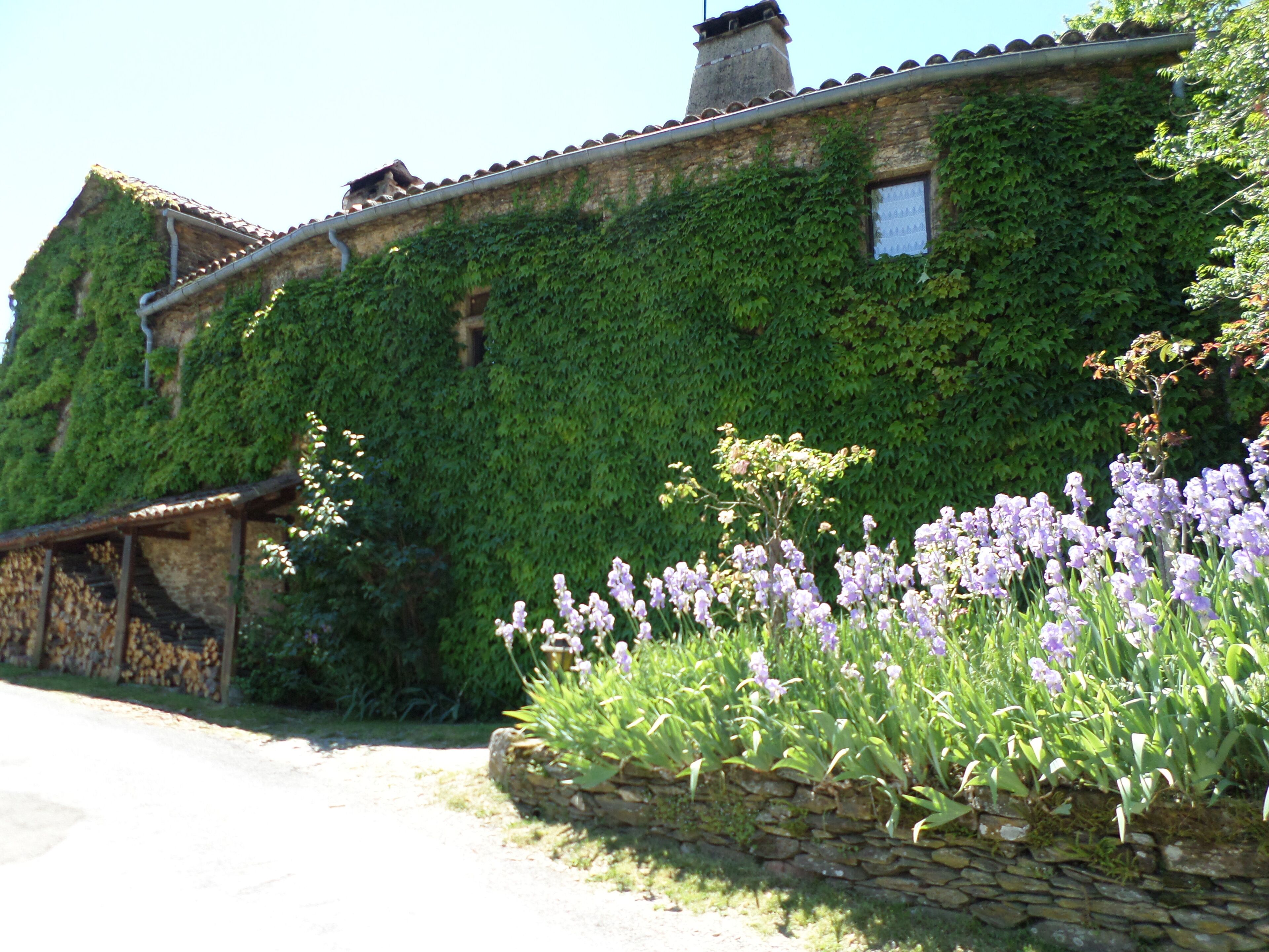 Un bâtiment en pierre avec un toit recouvert de tuiles, en partie envahi par du lierre, et un mur de pierre devant lequel poussent des fleurs violettes.