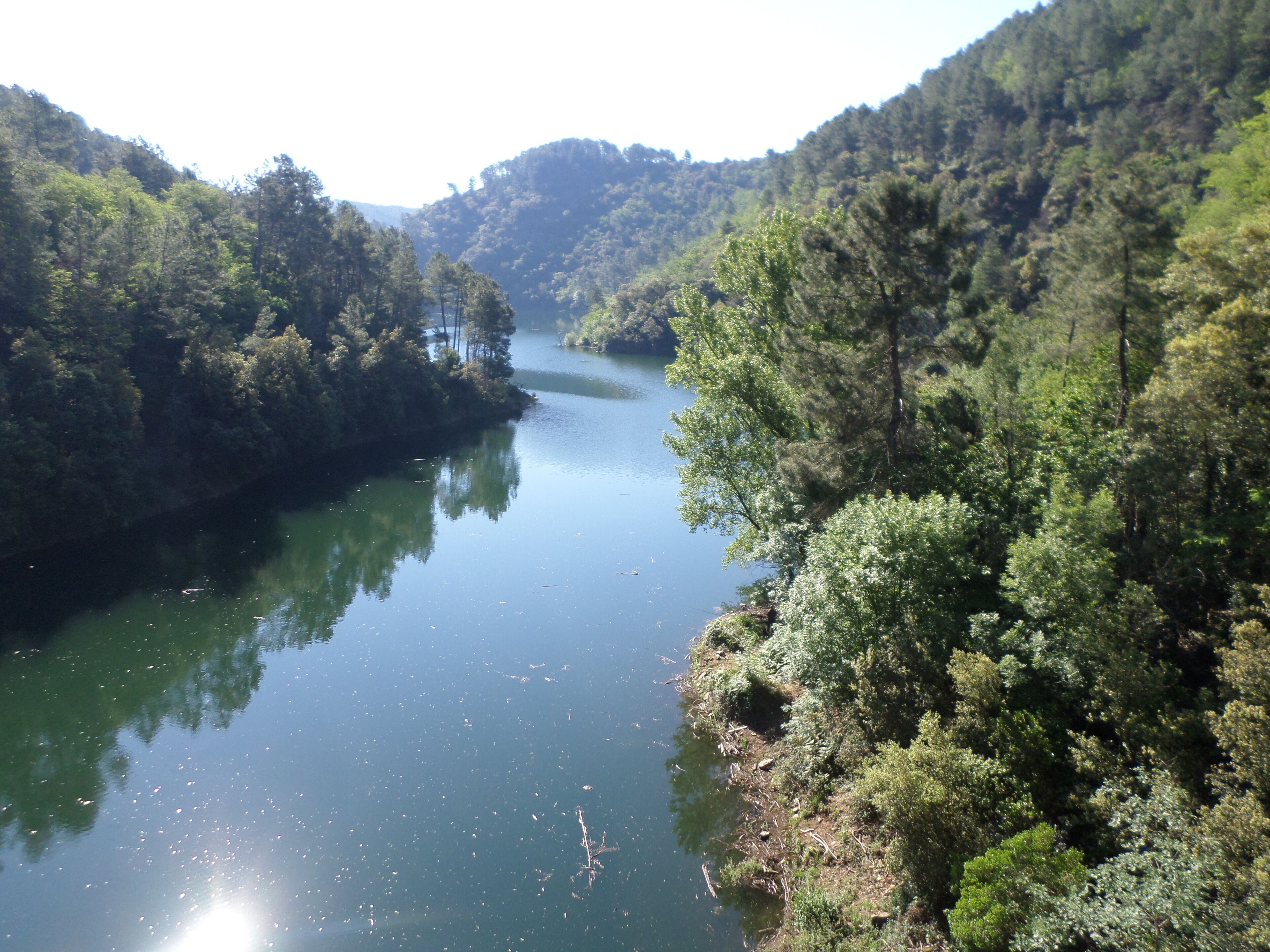 A river surrounded by dense forest and hills.