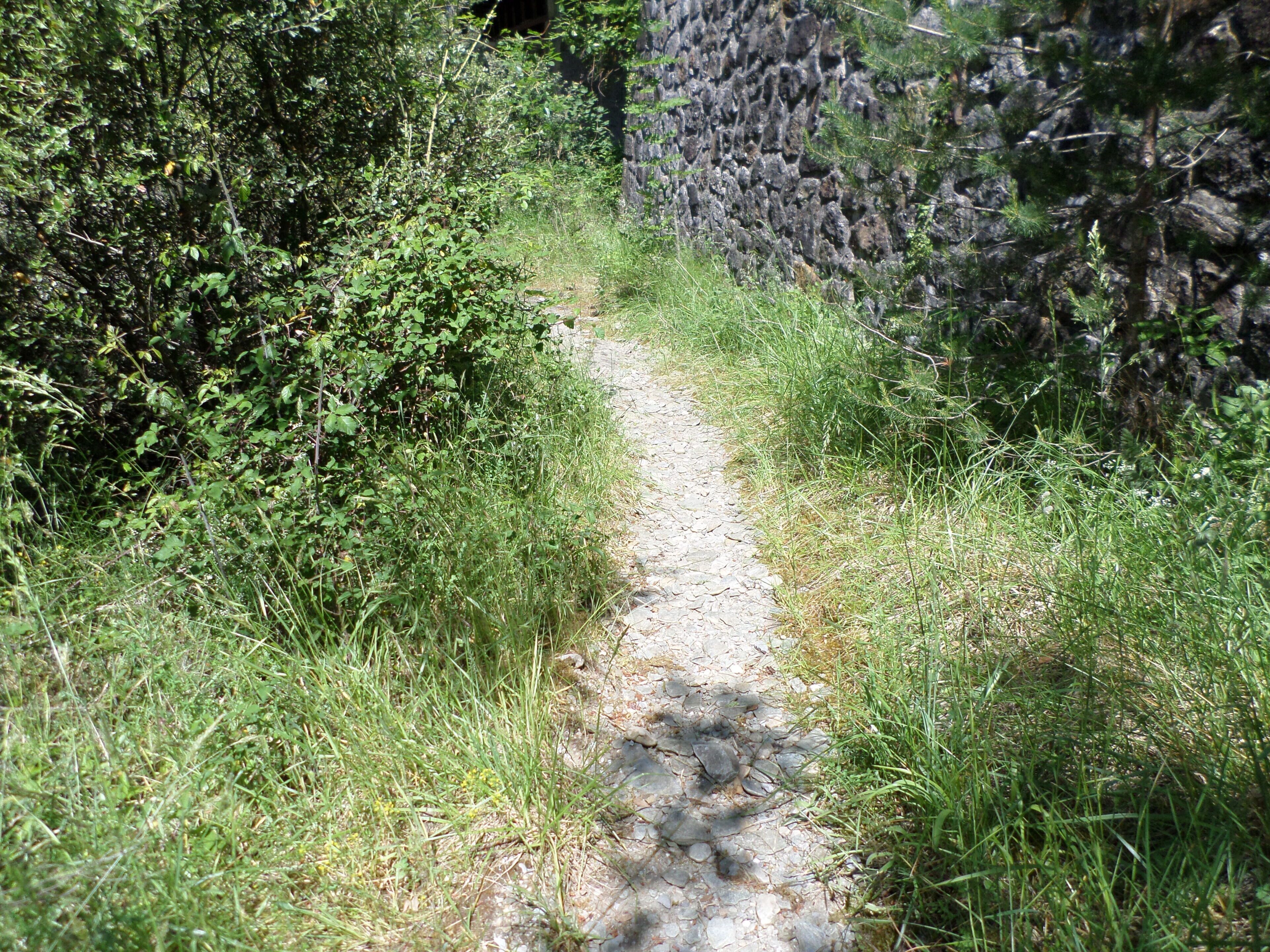 A narrow gravel path flanked by dense greenery and a stone wall.